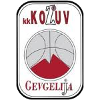 https://img.lkzhccpj.com/img/basketball/team/4b06fe02aaa7da5901e5698485059da0.png