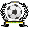 https://img.lkzhccpj.com/img/football/team/6dc6d59af2f0962597b412473a6708ee.png