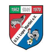 https://img.lkzhccpj.com/img/football/team/f9725ff7b1877febc0f8a12225eca971.png